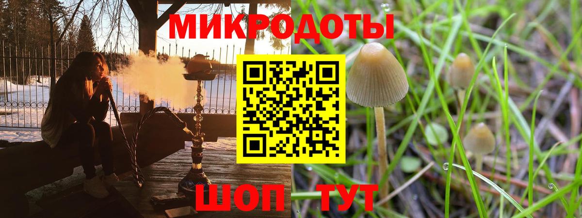 Галлюциногенные грибы Psilocybe Калач-на-Дону